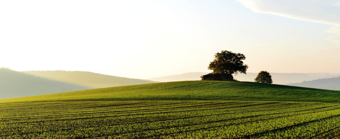 Desembargo de área rural: entendendo o processo e suas implicações jurídicas